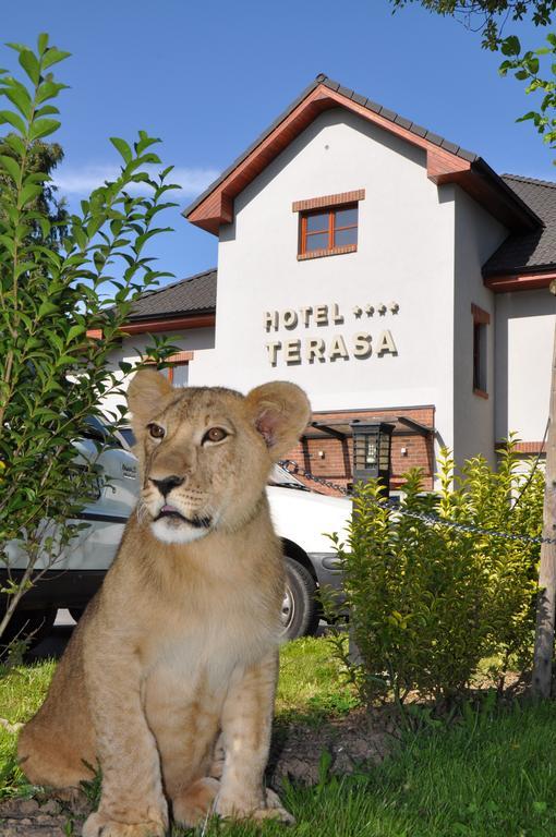 Hotel Terasa Frýdek-Místek Dış mekan fotoğraf